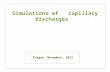 Simulations of   capillary  discharges