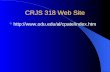 CRJS 318 Web Site