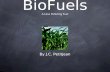 BioFuels A Less Polluting Fuel