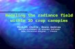 Modeling the radiance field within 3D crop canopies Michaël Chelle, Bruno Andrieu