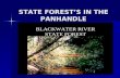 STATE FOREST’S IN THE PANHANDLE