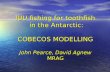 IUU fishing for toothfish  in the Antarctic: COBECOS MODELLING John Pearce, David Agnew MRAG