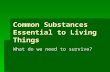 Common Substances Essential to Living Things