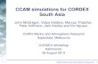 CCAM simulations for CORDEX South Asia