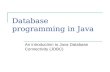 Database programming  in Java