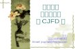中国期刊 全文数据库 （ CJFD ）