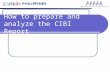 How to prepare and analyze the CIBI Report