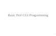 Basic Perl CGI Programming