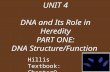 UNIT 4 DNA and Its Role in Heredity PART ONE: DNA Structure/Function