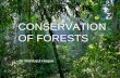 CONSERVATION OF FORESTS