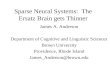 Sparse Neural Systems:  The Ersatz Brain gets Thinner