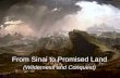 From Sinai to Promised Land (Wilderness and Conquest)