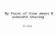 My Point of View about Bandwidth Sharing