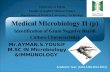 Medical Microbiology II (p) Identification of Gram Negative Bacilli  Culture Characteristics