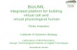 BioUML  integrated platform for building  virtual cell and  virtual physiological human