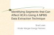 Identifying Segments that Can Affect HCA’s Using A NPMS Data Extraction Technique