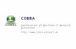 COBRA C oordination  o f  B io/Chem-IT  R esearch  A ctivities cobra-project.eu