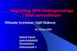 Hagnýting EPR litrófsgreininga í RNA rannsóknum