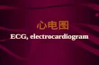 心电图 ECG, electrocardiogram