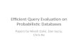 Efficient Query Evaluation on Probabilistic Databases
