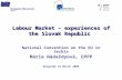 Labour Market – experiences of the Slovak Republic