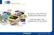 Directors and Officers Underwriter Meetings Cirrus Logic, Inc. September 9-13, 2004