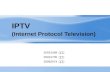 IPTV (Internet Protocol Television)