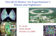 Hot QCD Matter: An Experimenter’s Dream and Nightmare