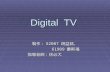Digital  TV