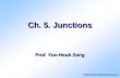 Ch. 5. Junctions