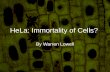 HeLa: Immortality of Cells?