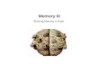 Memory III Working Memory & Brain