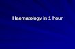 Haematology in 1 hour