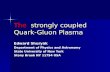 The   strongly coupled Quark-Gluon Plasma