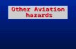 Other Aviation hazards