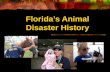Florida’s Animal  Disaster History