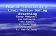 Phantom Simulation of Liver Motion During Breathing