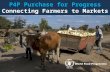 P4P Purchase for Progress  Connecting Farmers to Markets