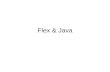 Flex & Java