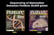 Sequencing of Mammalian Genomes Predicts 30,000 genes