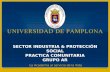 SECTOR INDUSTRIA & PROTECCIÓN SOCIAL PRACTICA COMUNITARIA GRUPO AR