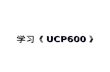 学习 《UCP600》