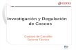 Investigación y Regulación       de Cascos Gustavo de Carvalho Gerente Técnico