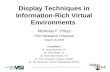Display Techniques in Information-Rich Virtual Environments