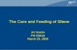 The Care and Feeding of Silane