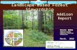 Landscape-Based Forest Stewardship