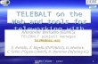 TELEBALT on the Web and tools for teleworking with the Baltic States