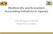 Biodiversity and Ecosystem Accounting Initiatives in Uganda
