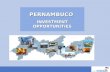 PERNAMBUCO  INVESTMENT OPPORTUNITIES