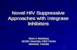 Novel HIV Suppressive Approaches with Integrase Inhibitors